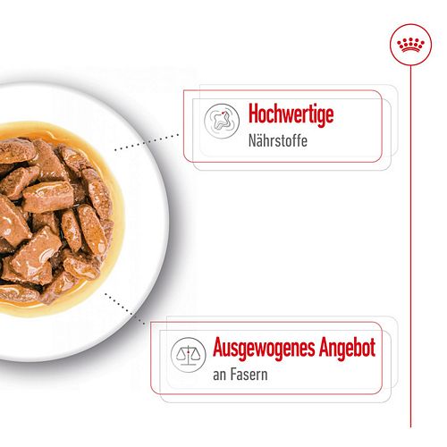 Royal Canin MAXI ADULT - Nassfutter auf Teller