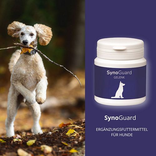 reboVet - ReboTabs - SYNO-Guard - 50 Tabs