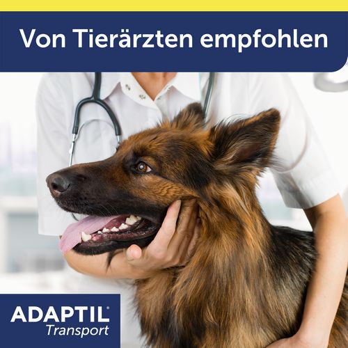 ADAPTIL® Transport Spray 60ml - reduziert Reisestress und Reiseübelkeit von Hunden