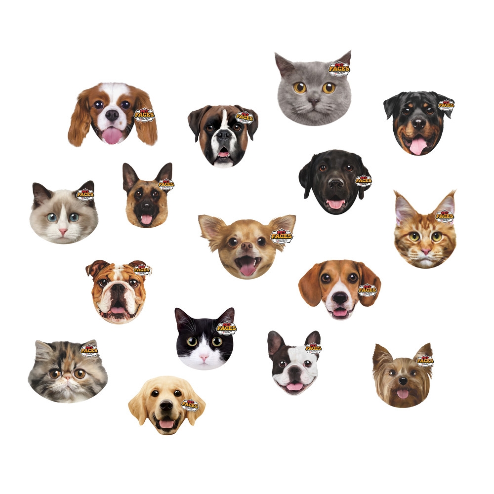 Holland animal care Pet Faces Holland animal care Pet Faces