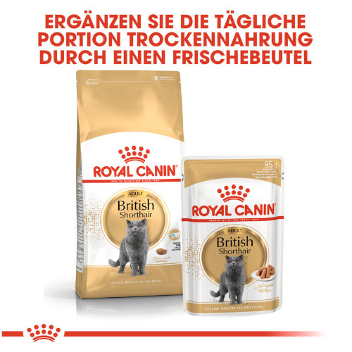 Royal Canin British Shorthair Trockenfutter