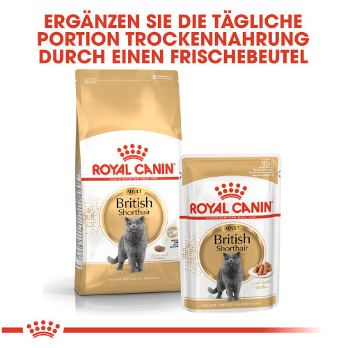 Royal Canin British Shorthair Adult Katzenfutter nass für Britisch Kurzhaar