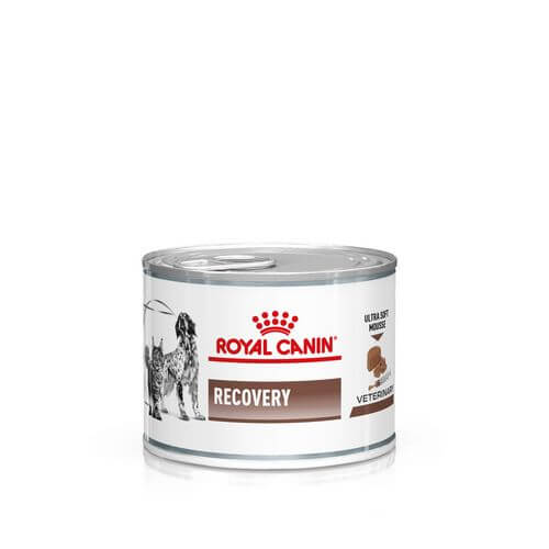 Royal Canin Veterinary RECOVERY Nassfutter für Katzen Royal Canin Veterinary RECOVERY Nassfutter für Katzen