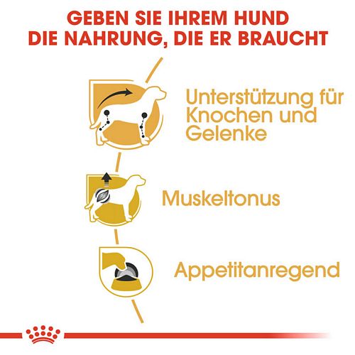 Royal Canin Dachshund Adult Hundefutter nass Vorteile