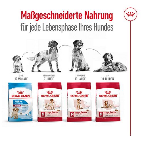 Royal Canin MEDIUM Adult Trockenfutter Leben