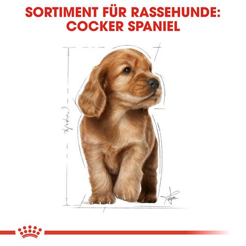 Royal Canin Cocker Puppy Welpenfutter trocken