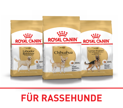 Royal Canin für Rassehunde Royal Canin für Rassehunde