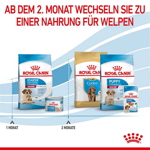 Royal Canin MEDIUM Starter 15 kg