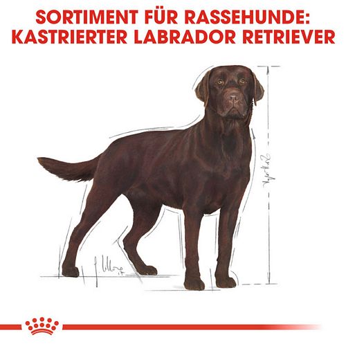 Royal Canin Labrador Retriever Adult Sterilised Trockenfutter