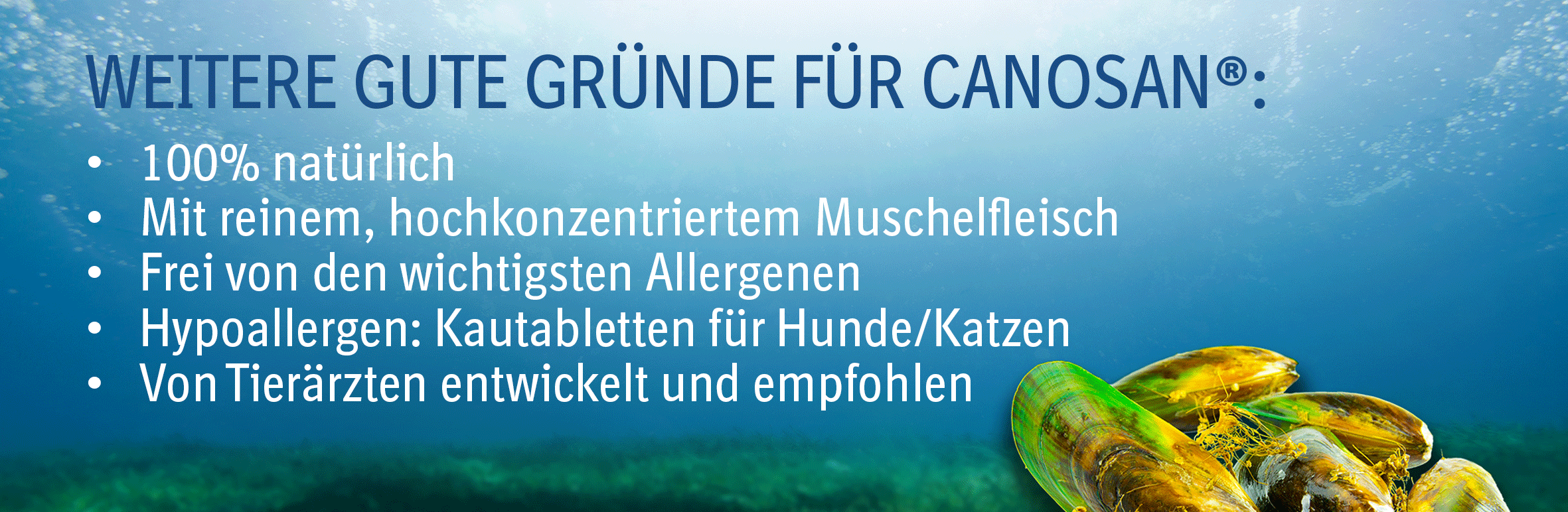 Canosan Canosan