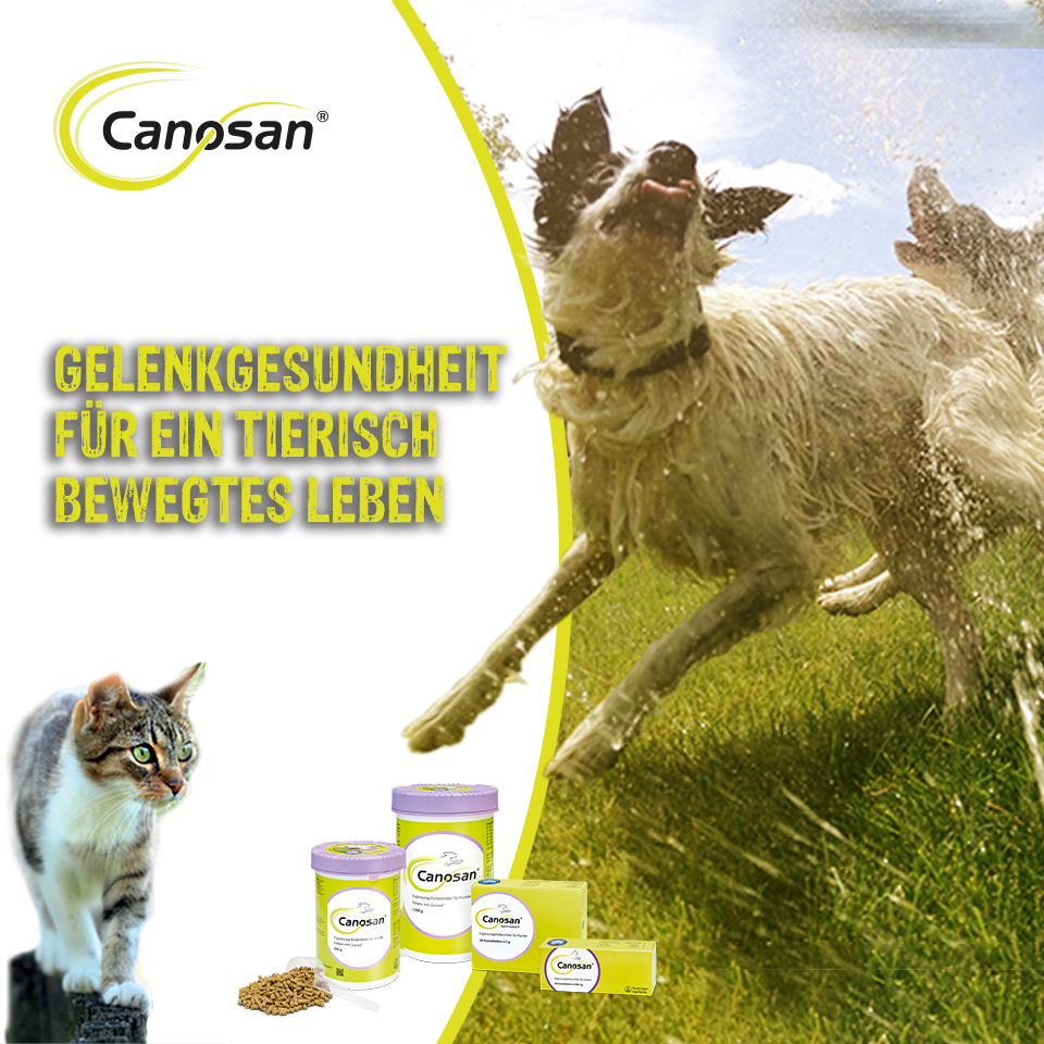 Gelenkgesundheit für ein tierisch bewegtes Leben Gelenkgesundheit für ein tierisch bewegtes Leben