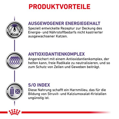 ROYAL CANIN Expert ADULT Trockenfutter für Katzen