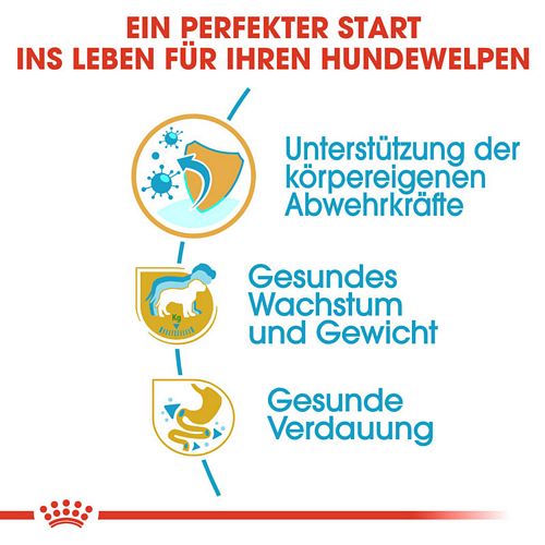 Royal Canin Labrador Retriever Puppy Welpenfutter trocken Vorteile