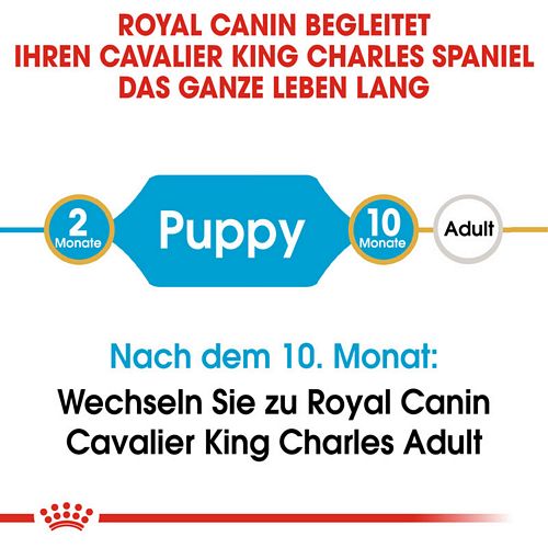 Royal Canin Cavalier King Charles Puppy Welpenfutter trocken Lebensphasen