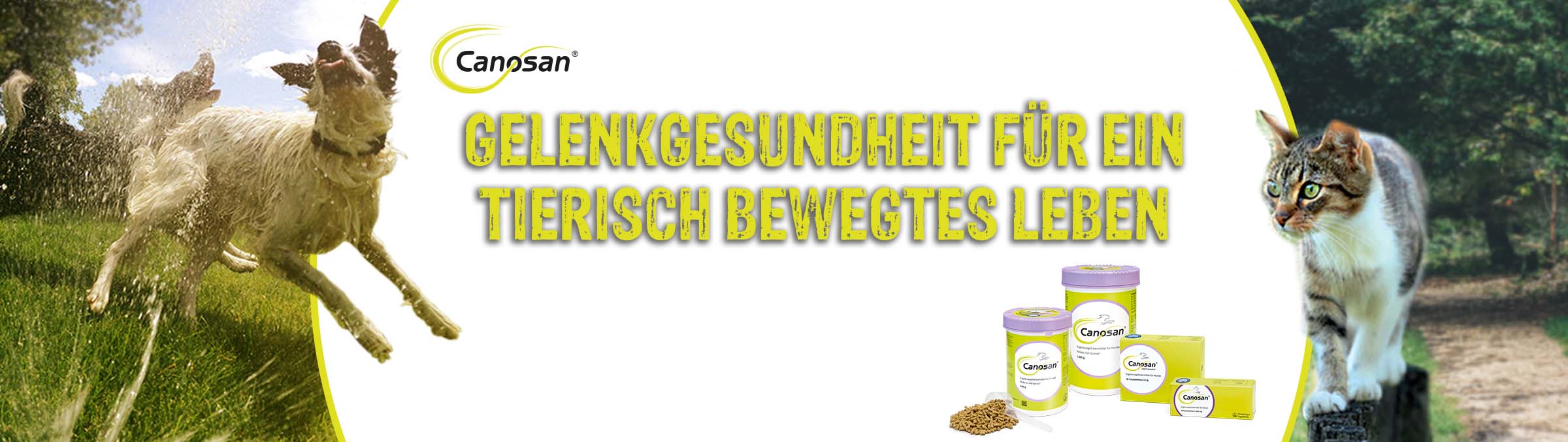 Gelenkgesundheit für ein tierisch bewegtes Leben Gelenkgesundheit für ein tierisch bewegtes Leben