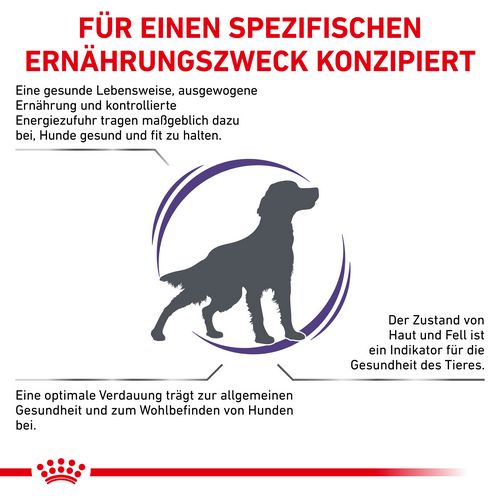 Royal Royal Canin Expert ADULT MEDIUM DOGS Trockenfutter für Hunde