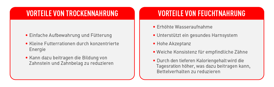 Royal Canin Mischfütterung Vorteile (3) Royal Canin Mischfütterung Vorteile (3)