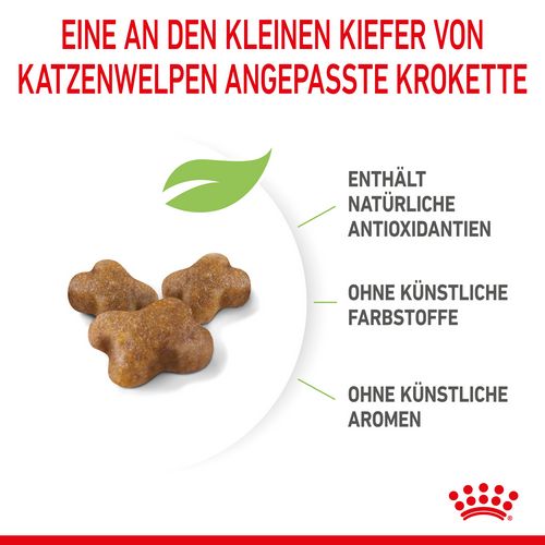 Royal Canin KITTEN Trockenfutter für Kätzchen bis zum 12. Monat 2 kg