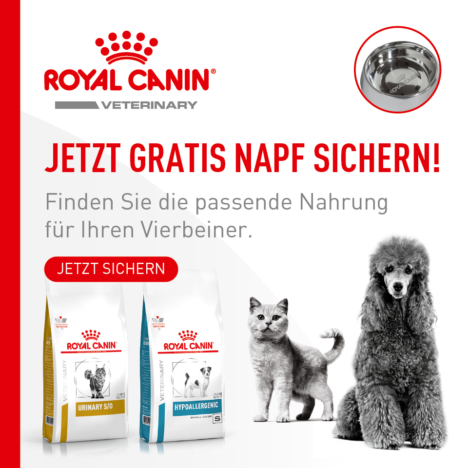 Royal Canin Banner