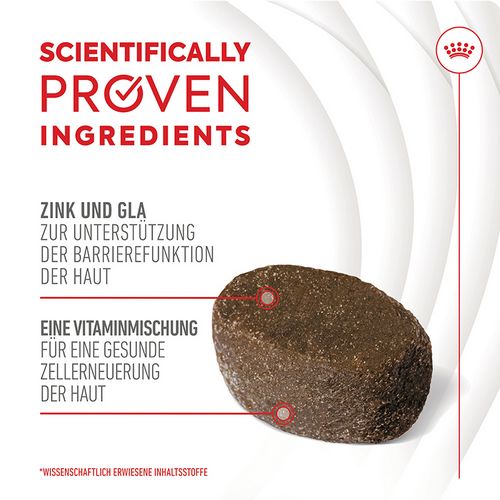 Royal Canin - SKIN & COAT CHEWS ADULT SUPPLEMENTS Krokette