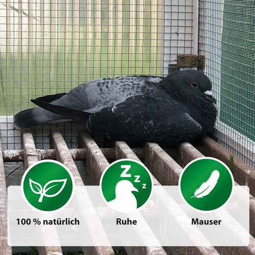 KRÄUTER-GEMÜSE-MIX