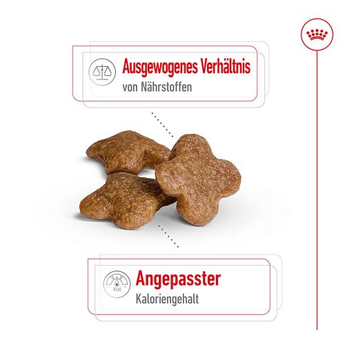 Royal Canin MINI Adult 8+ Trockenfutter Kroketten
