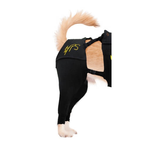 Medical Pet Shirt Protective Hinterbeinschutz