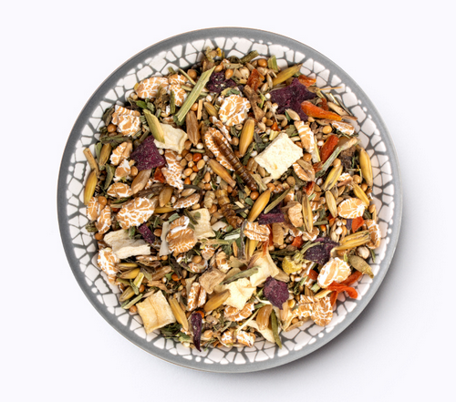 Bunny - RennmausTraum EXPERT