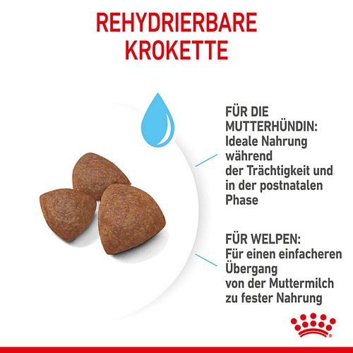 Royal Canin MEDIUM Starter Kroketten