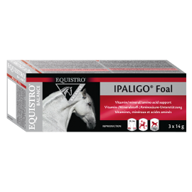 Vetoquinol Equistro Ipaligo foal 3 x 14 g