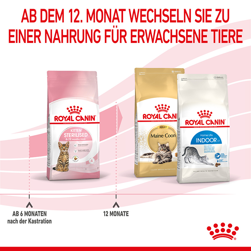 Royal Canin KITTEN Sterilised Kittenfutter für kastrierte Kätzchen