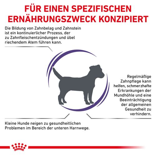 Royal Canin Expert DENTAL SMALL DOGS Trockenfutter für Hunde