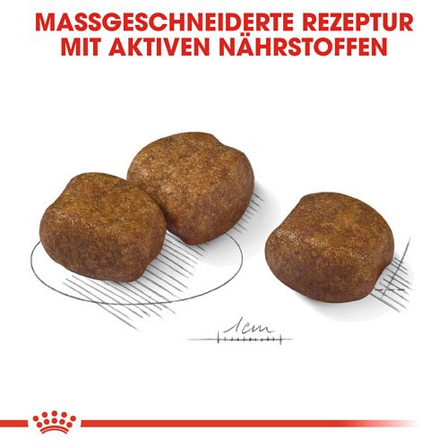 Royal Canin DENTAL CARE MAXI Trockenfutter Kroketten