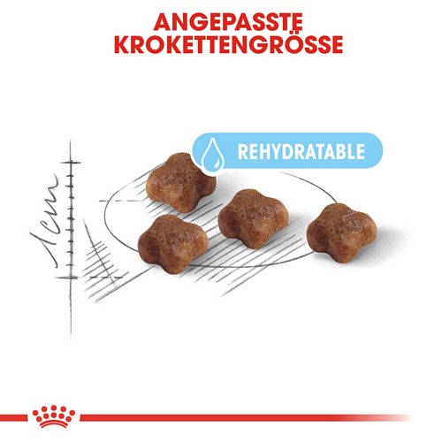 royal canin first age