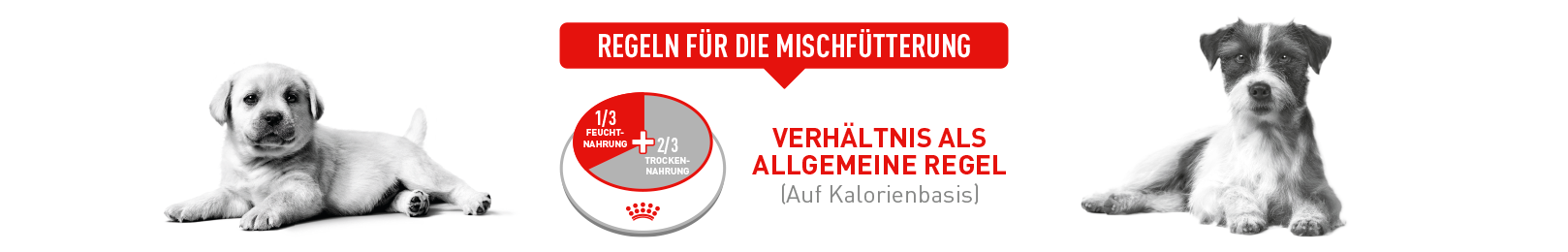 Regeln für Mischfütterung Regeln für Mischfütterung