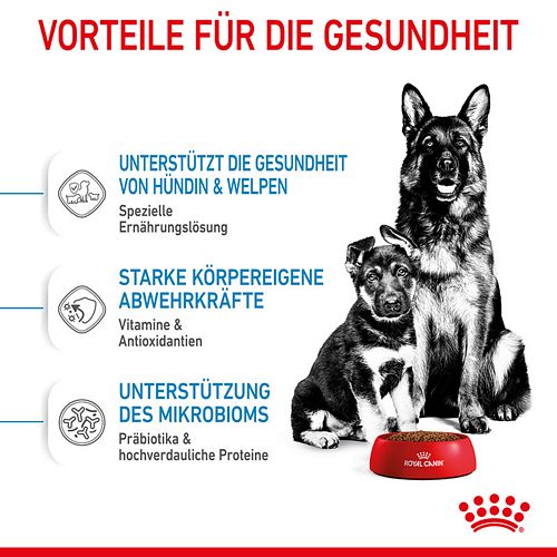 Royal Canin MAXI Starter für tragende Hündin und Welpen großer Rassen Vorteile