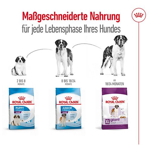 Royal Canin GIANT Adult Trockenfutter für sehr große Hunde Lebensphasen