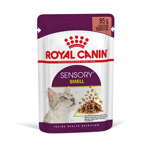 Royal Canin SENSORY Smell Nassfutter in Gelee für wählerische Katzen 12 x 85 g