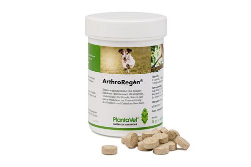 ArthroRegén Tabletten bei Gelenkproblemen von PlantaVet - 160 Tabletten