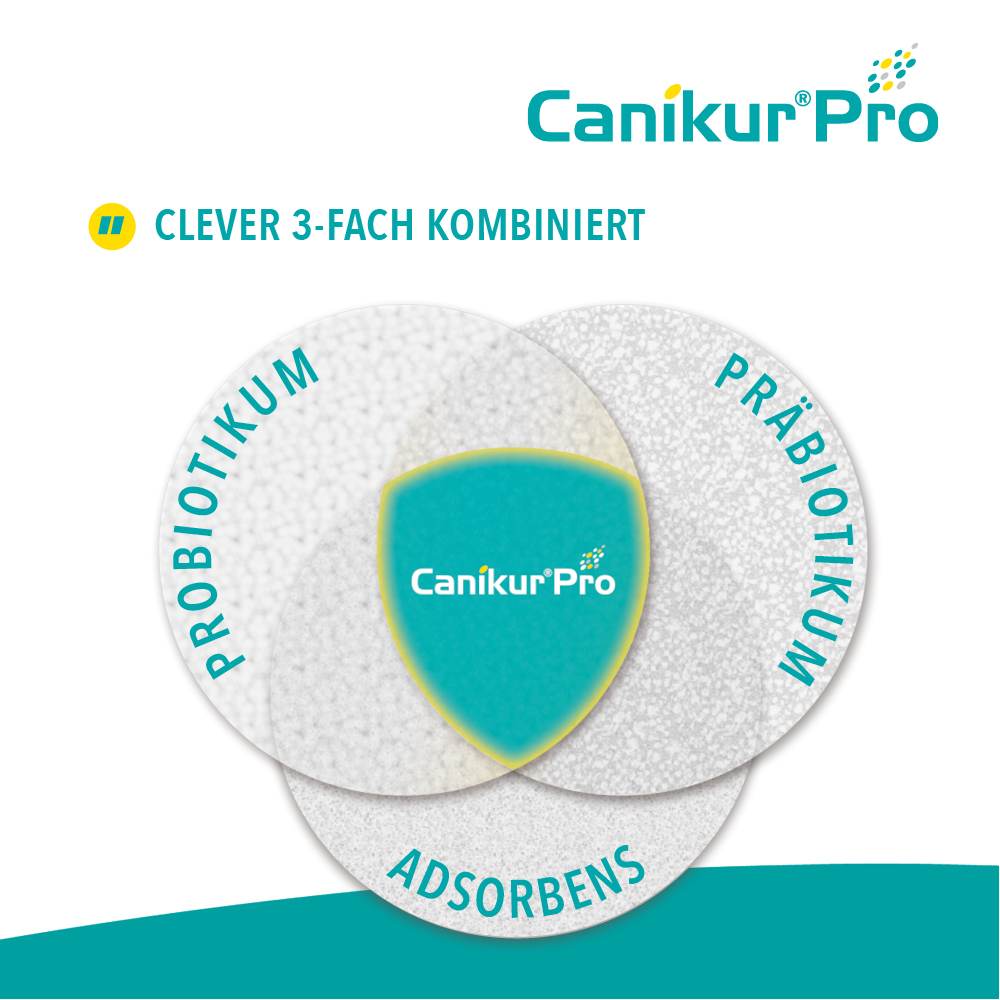 Canikur Pro Paste bei Durchfall für Hund und Katze von Boehringer Ingelheim
