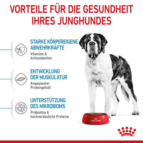 Royal Canin GIANT Junior Welpenfutter trocken Vorteile