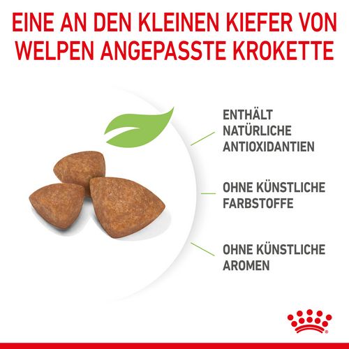 Royal Canin X-SMALL Puppy Trockenfutter für Welpen sehr kleiner Hunderassen 500 g