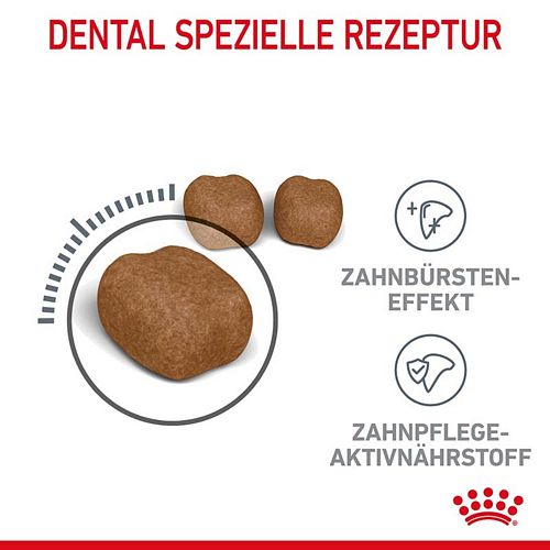 Royal Canin Dental Care Trockenfutter für Katzen 1,5kg