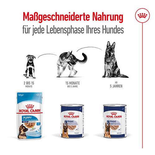 Royal Canin MAXI AGEING 12+ - Nassfutter für ausgewachsene große Hunde - 12 x 410 g