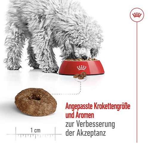 Royal Canin MINI Ageing 12+ Trockenfutter für ältere kleine Hunde