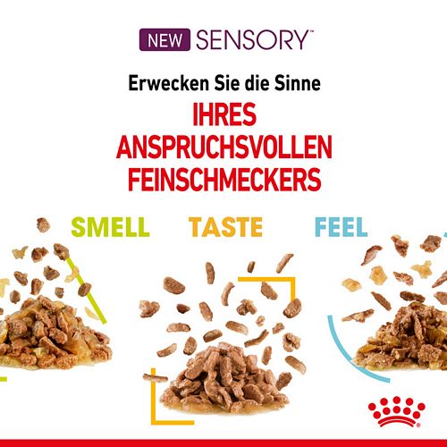 Royal Canin SENSORY Feel Nassfutter in Gelee für wählerische Katzen 12 x 85 g