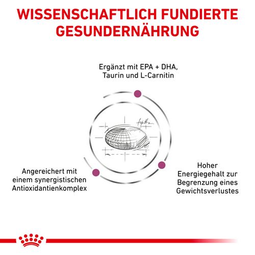 Royal Canin Veterinary CARDIAC Trockenfutter für Hunde 2 kg