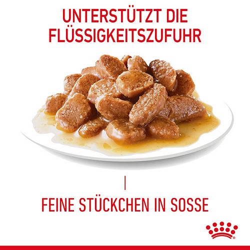 Royal Canin Appetit Control in Soße 12 x 85g