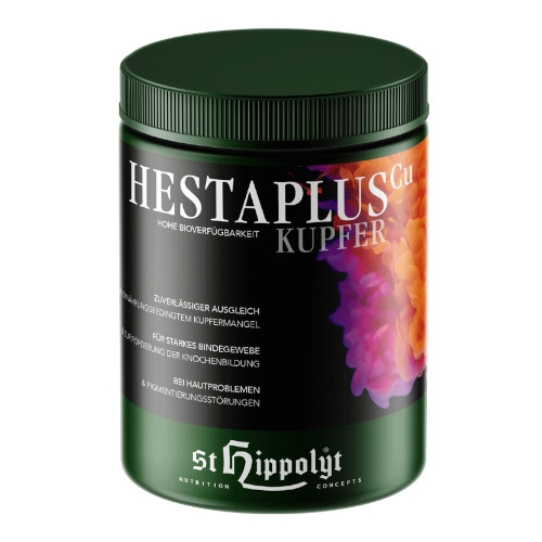 Hesta Plus Kupfer von St. Hippolyt