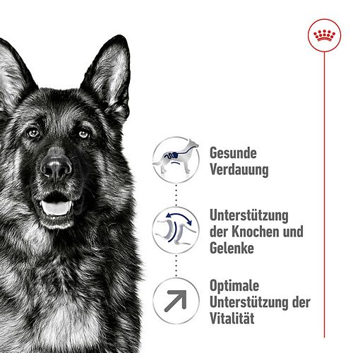 Royal Canin MAXI Adult 5+ Trockenfutter für ältere große Hunde Vorteile